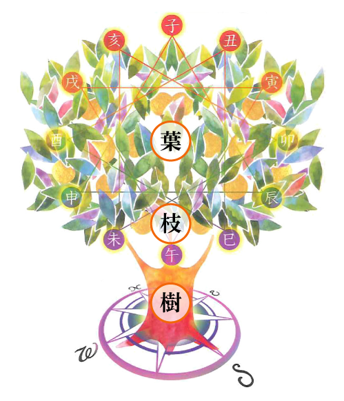 Shojukai（しょうじゅかい）うらないワールドの 「うらないの樹」イラスト